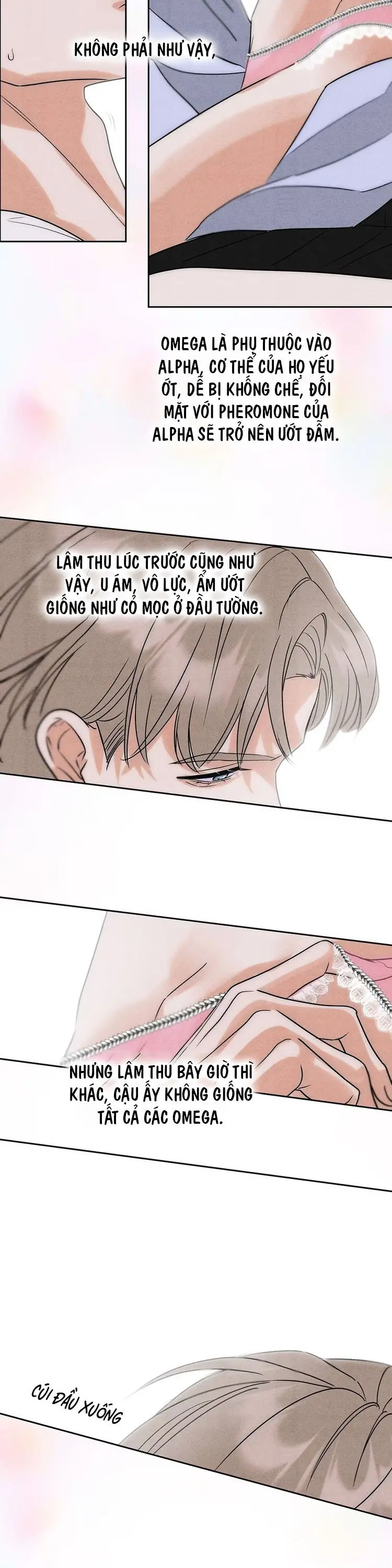 Xuyên Thành Con Ngỗng Vàng Của Đại Lão Alpha Chapter 3 - Trang 19