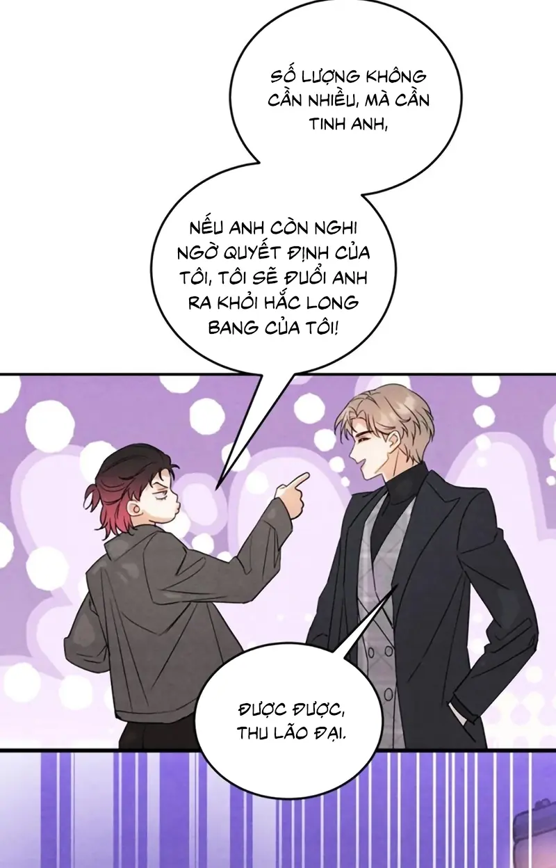 Xuyên Thành Con Ngỗng Vàng Của Đại Lão Alpha Chapter 32 - Trang 12