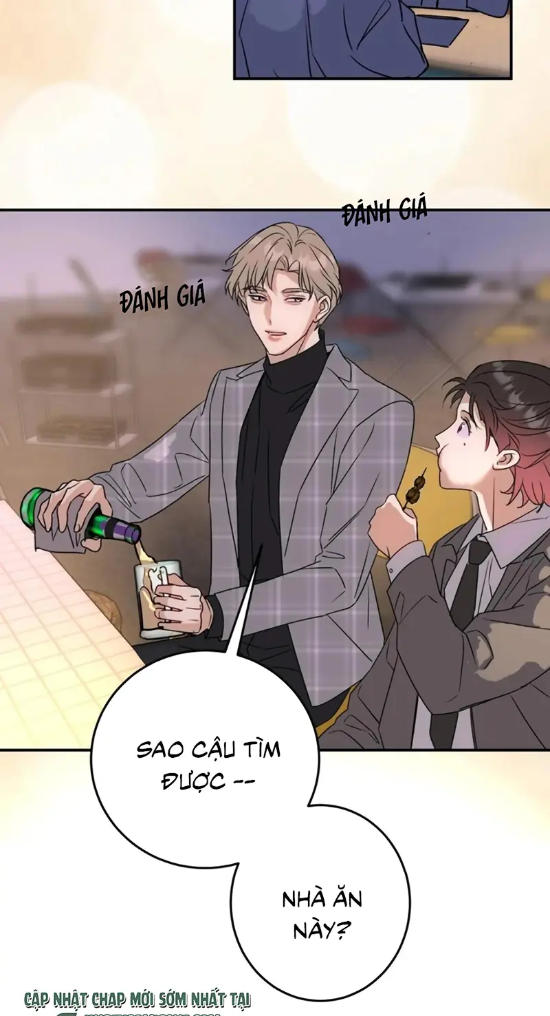 Xuyên Thành Con Ngỗng Vàng Của Đại Lão Alpha Chapter 32 - Trang 27