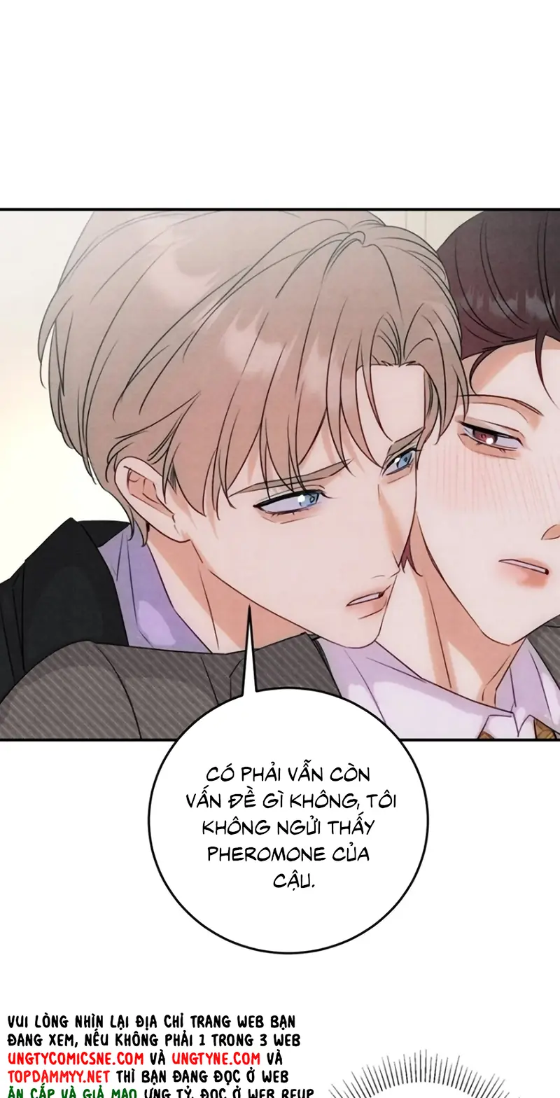 Xuyên Thành Con Ngỗng Vàng Của Đại Lão Alpha Chapter 36 - Trang 14