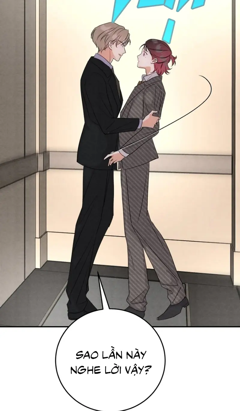 Xuyên Thành Con Ngỗng Vàng Của Đại Lão Alpha Chapter 36 - Trang 19