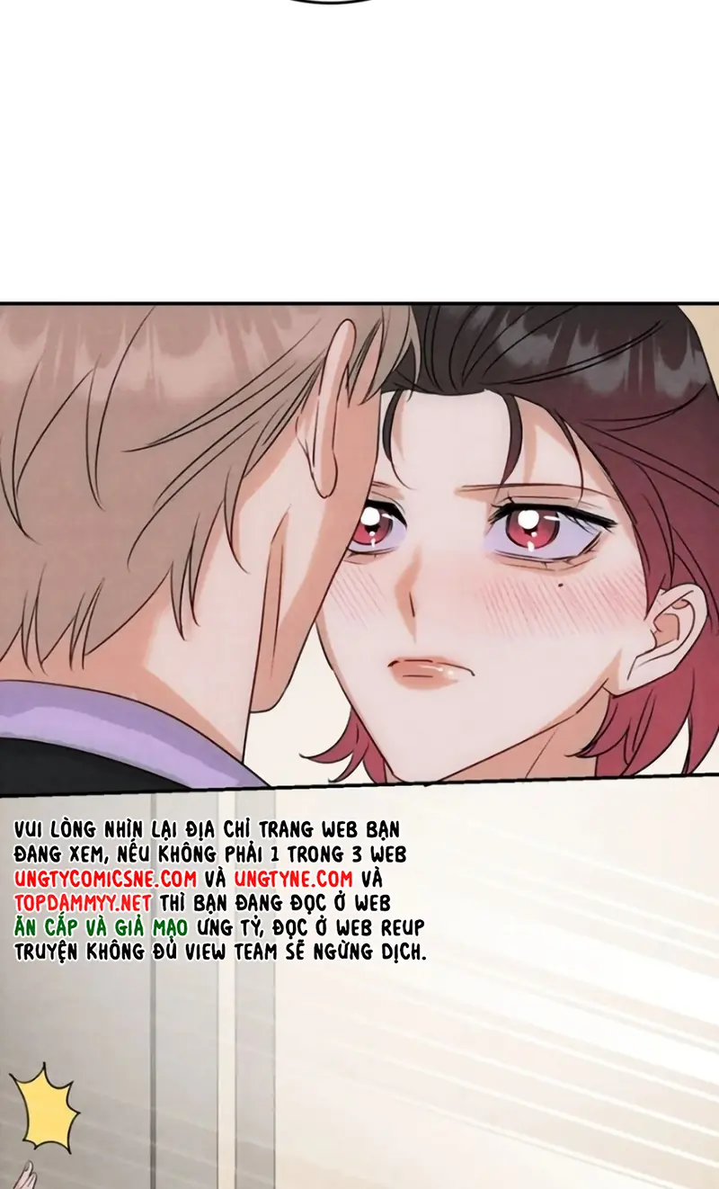 Xuyên Thành Con Ngỗng Vàng Của Đại Lão Alpha Chapter 36 - Trang 20