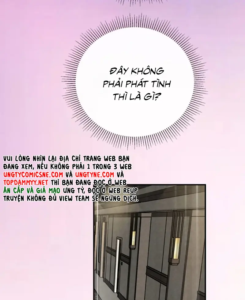 Xuyên Thành Con Ngỗng Vàng Của Đại Lão Alpha Chapter 36 - Trang 24