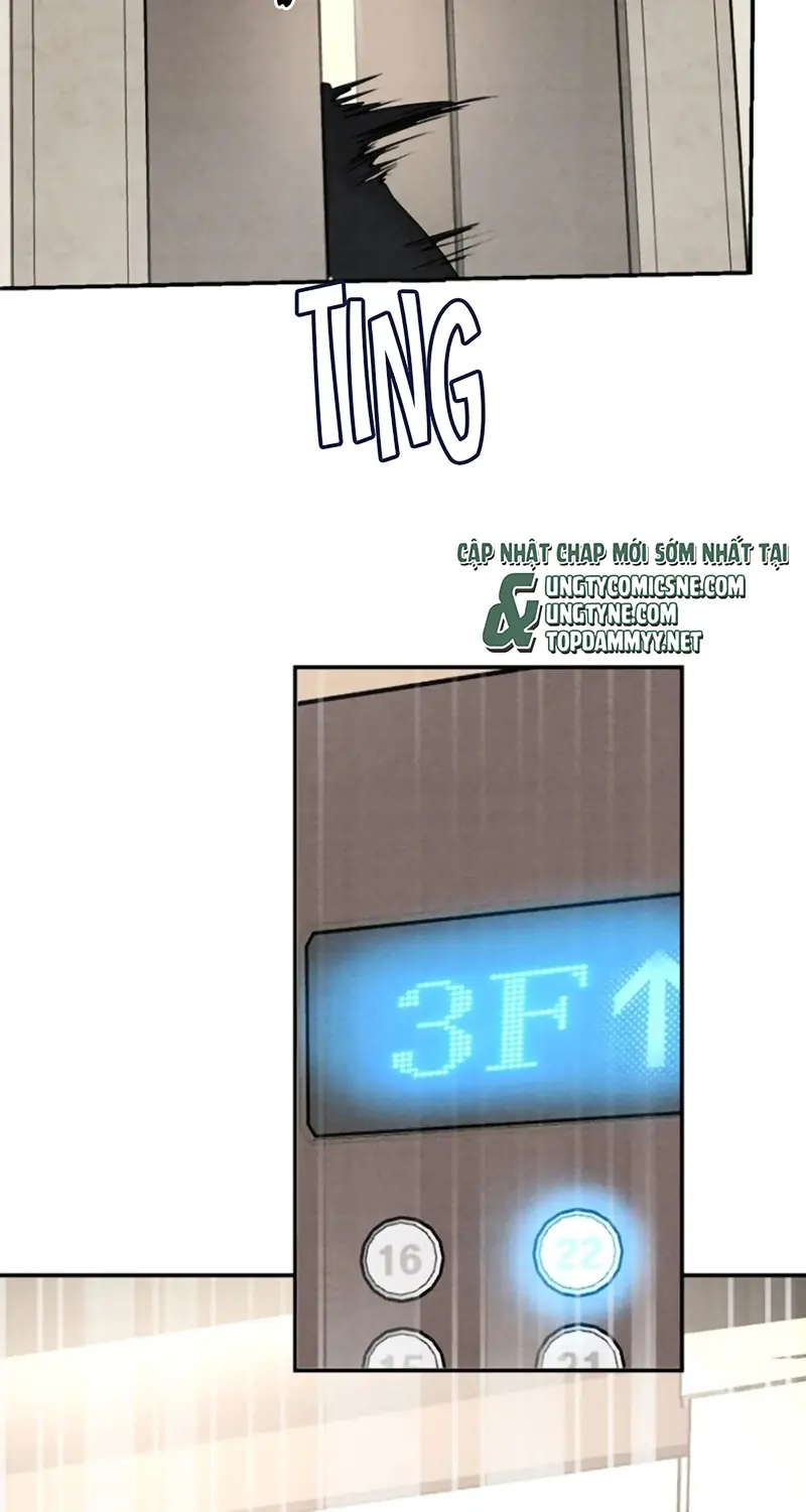Xuyên Thành Con Ngỗng Vàng Của Đại Lão Alpha Chapter 36 - Trang 8