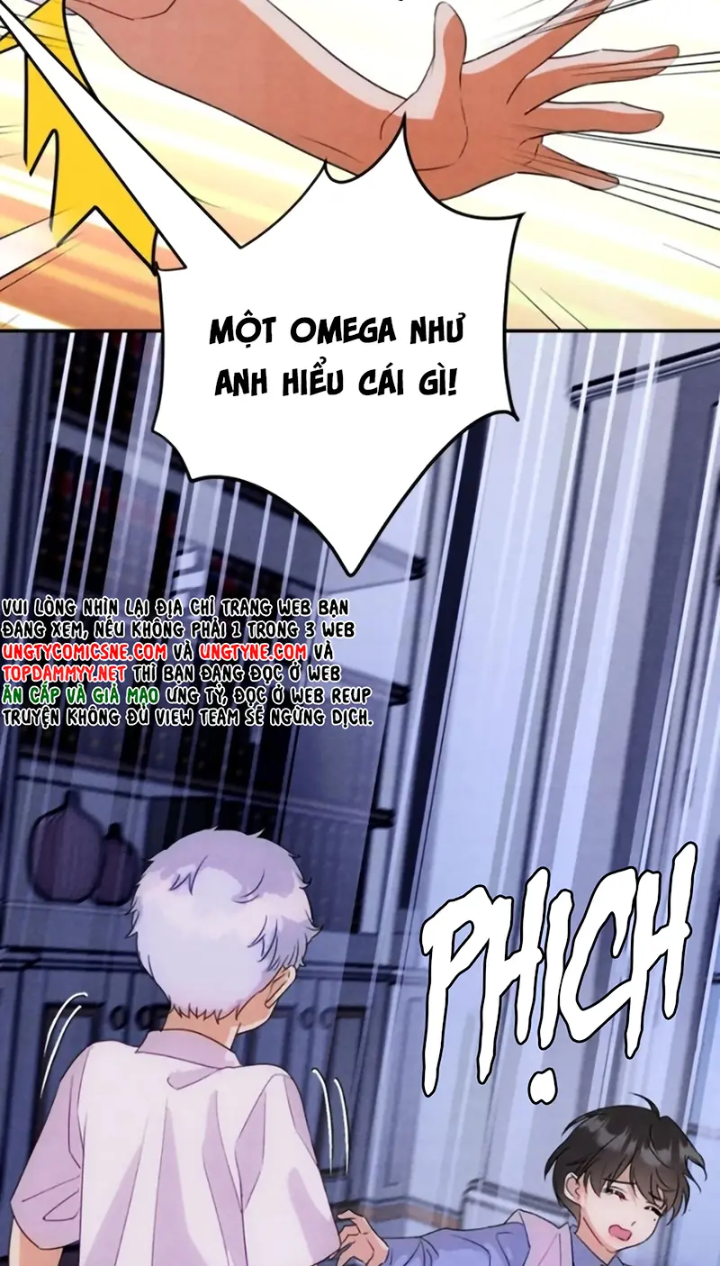 Xuyên Thành Con Ngỗng Vàng Của Đại Lão Alpha Chapter 37 - Trang 11