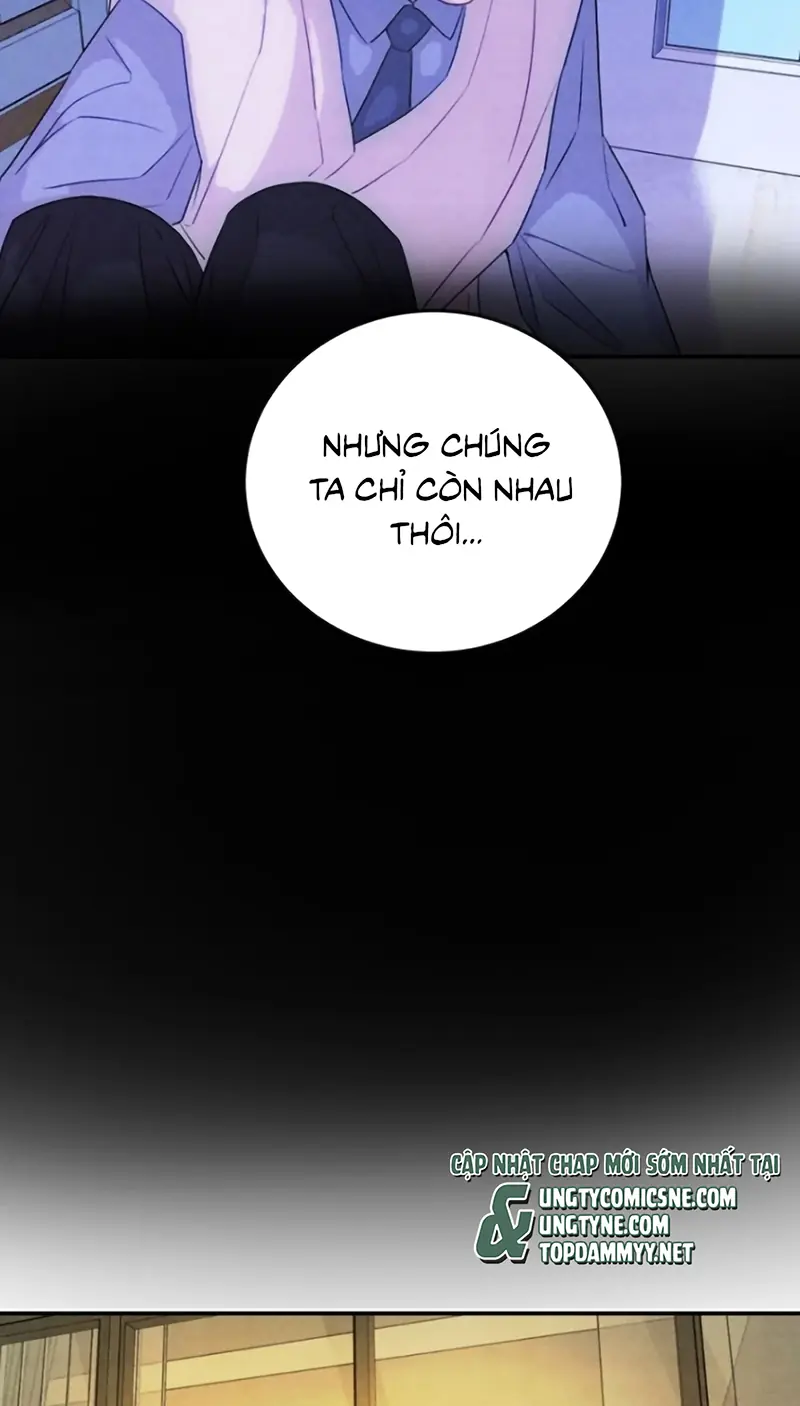 Xuyên Thành Con Ngỗng Vàng Của Đại Lão Alpha Chapter 37 - Trang 13