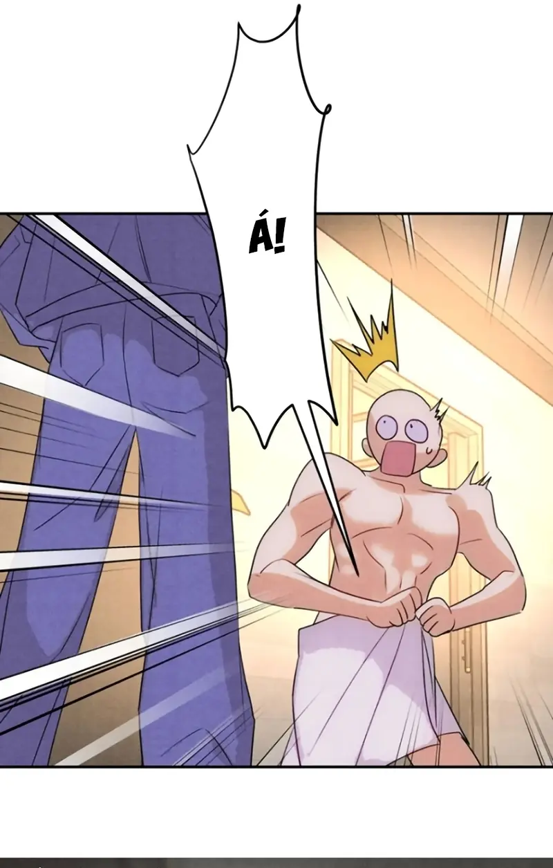 Xuyên Thành Con Ngỗng Vàng Của Đại Lão Alpha Chapter 37 - Trang 20