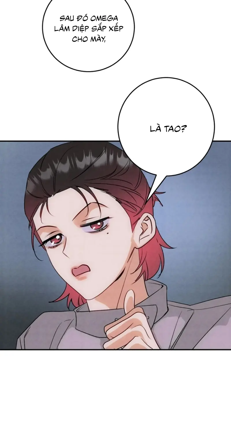 Xuyên Thành Con Ngỗng Vàng Của Đại Lão Alpha Chapter 37 - Trang 31