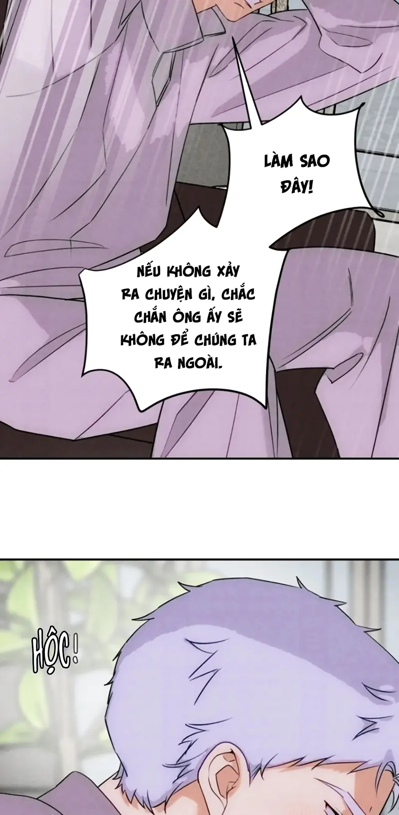 Xuyên Thành Con Ngỗng Vàng Của Đại Lão Alpha Chapter 37 - Trang 38