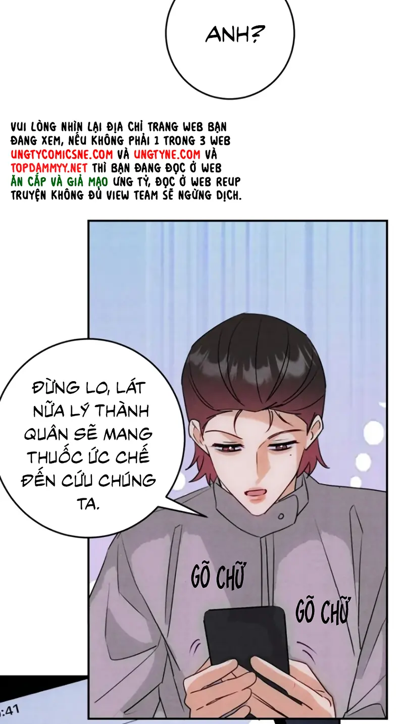 Xuyên Thành Con Ngỗng Vàng Của Đại Lão Alpha Chapter 37 - Trang 41