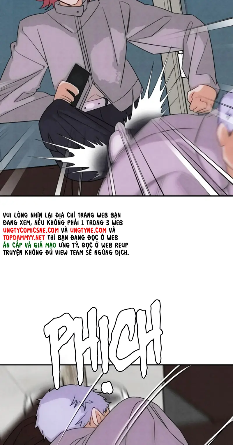 Xuyên Thành Con Ngỗng Vàng Của Đại Lão Alpha Chapter 37 - Trang 45