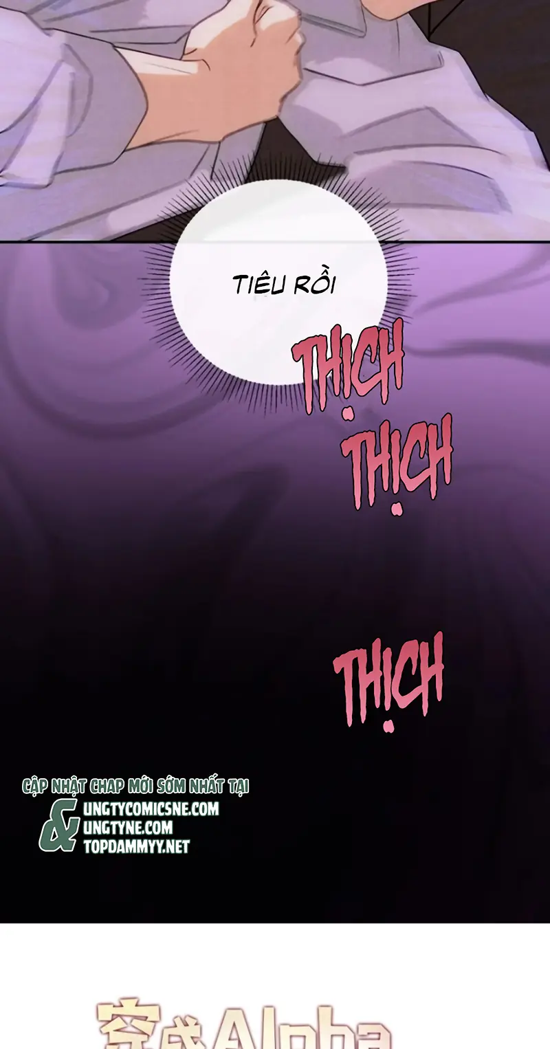 Xuyên Thành Con Ngỗng Vàng Của Đại Lão Alpha Chapter 37 - Trang 47