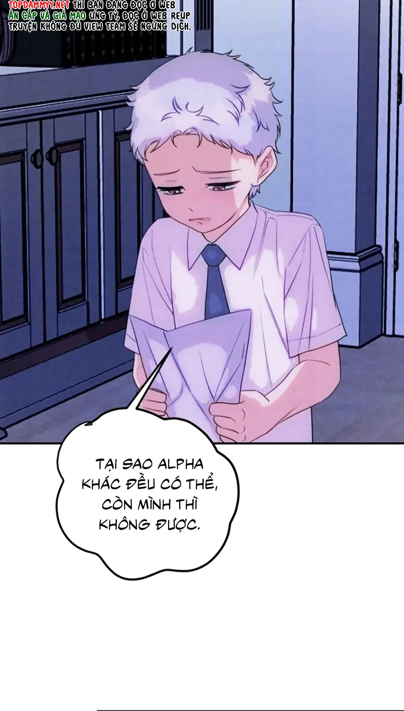 Xuyên Thành Con Ngỗng Vàng Của Đại Lão Alpha Chapter 37 - Trang 7