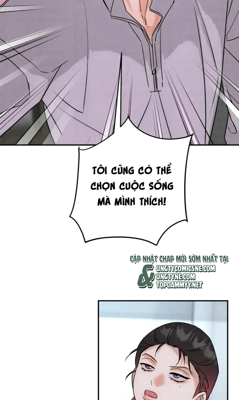 Xuyên Thành Con Ngỗng Vàng Của Đại Lão Alpha Chapter 38 - Trang 27