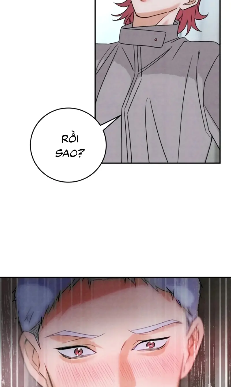 Xuyên Thành Con Ngỗng Vàng Của Đại Lão Alpha Chapter 38 - Trang 28