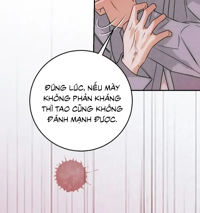 Xuyên Thành Con Ngỗng Vàng Của Đại Lão Alpha Chapter 38 - Trang 39