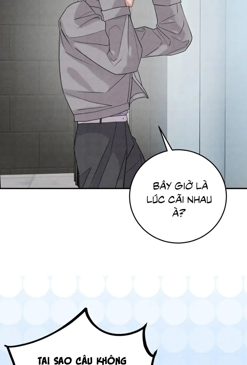 Xuyên Thành Con Ngỗng Vàng Của Đại Lão Alpha Chapter 38 - Trang 6