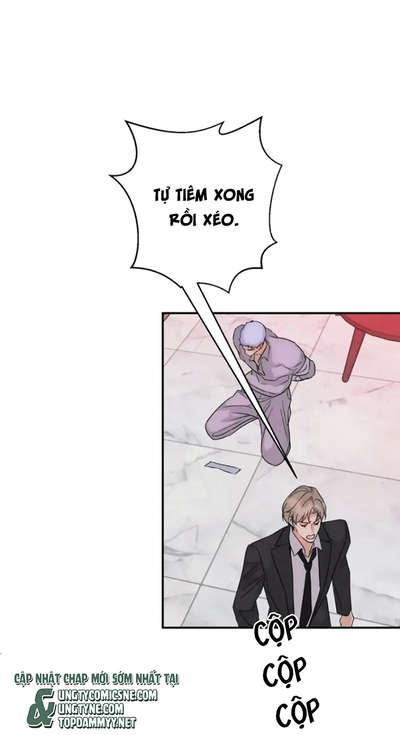 Xuyên Thành Con Ngỗng Vàng Của Đại Lão Alpha Chapter 39 - Trang 11