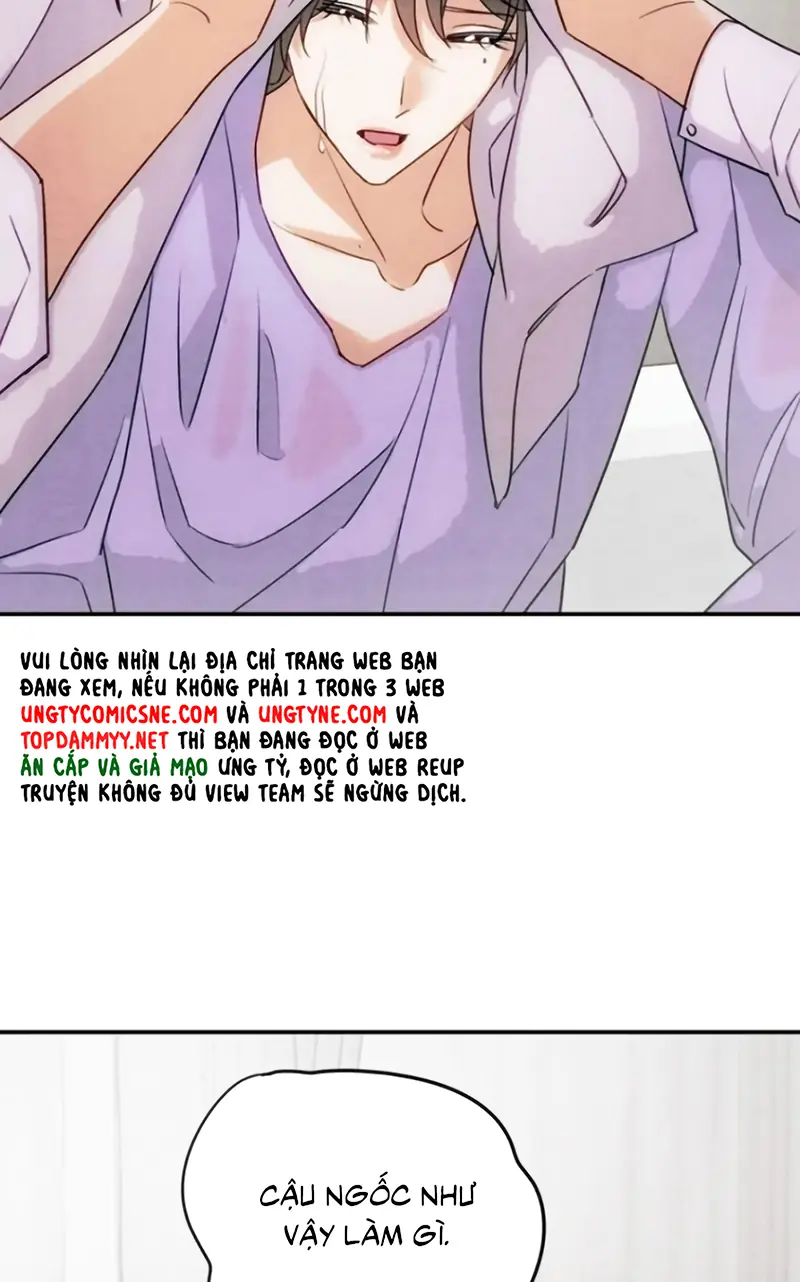 Xuyên Thành Con Ngỗng Vàng Của Đại Lão Alpha Chapter 39 - Trang 29
