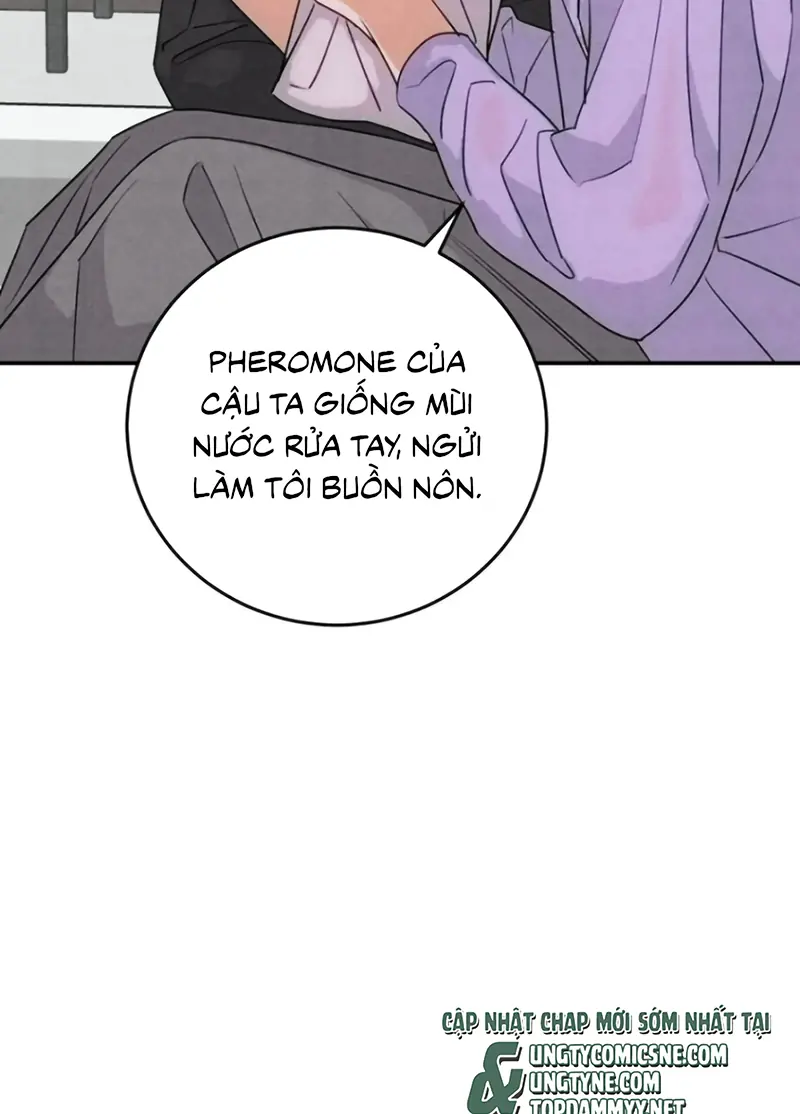 Xuyên Thành Con Ngỗng Vàng Của Đại Lão Alpha Chapter 39 - Trang 32