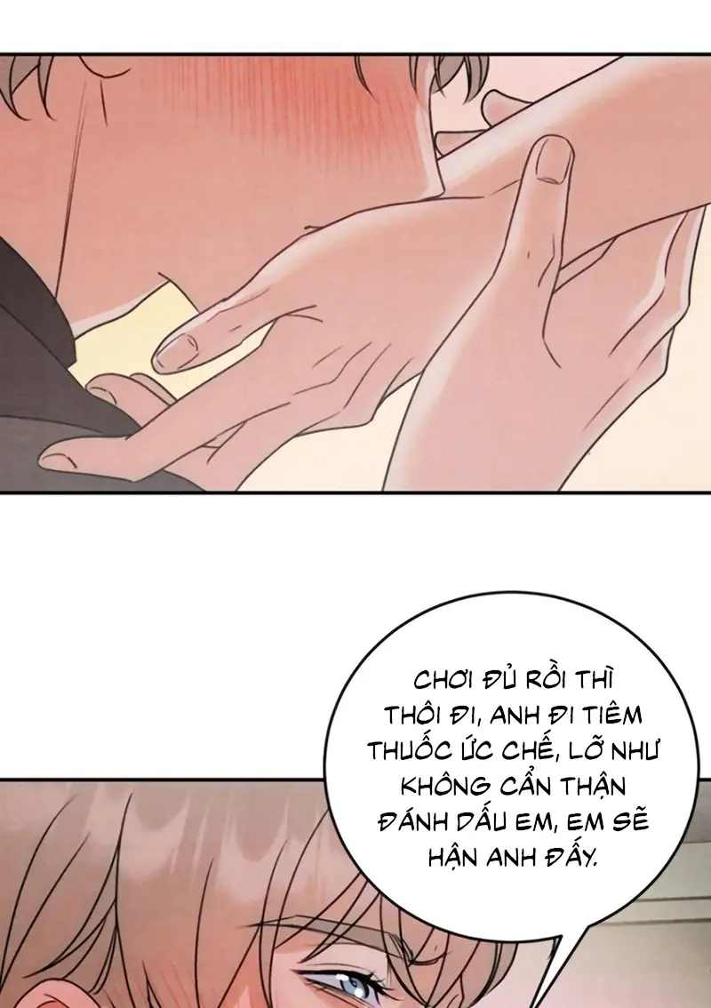Xuyên Thành Con Ngỗng Vàng Của Đại Lão Alpha Chapter 41 - Trang 33