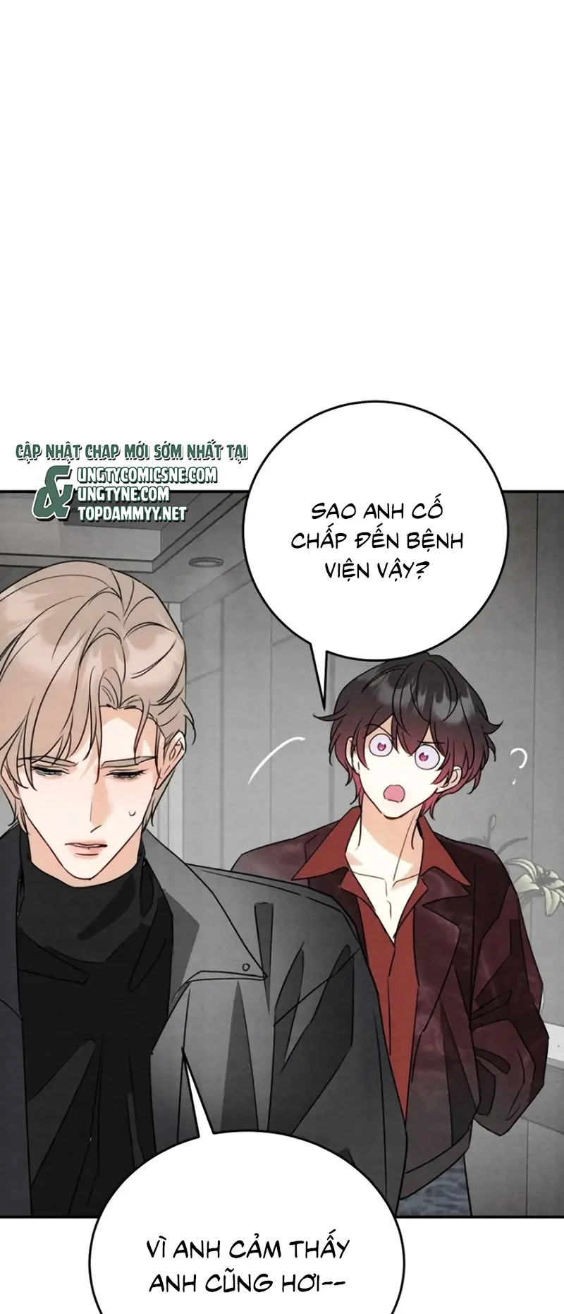 Xuyên Thành Con Ngỗng Vàng Của Đại Lão Alpha Chapter 41 - Trang 7
