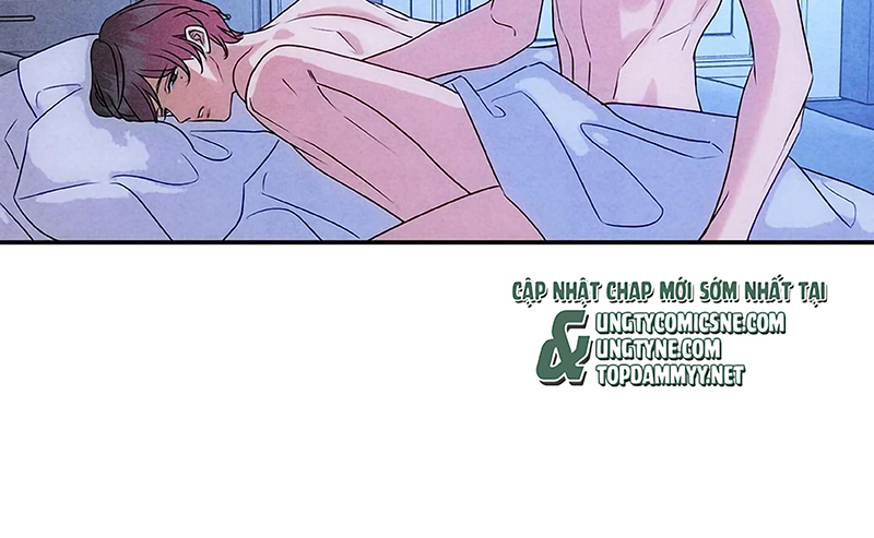 Xuyên Thành Con Ngỗng Vàng Của Đại Lão Alpha Chapter 42 - Trang 21