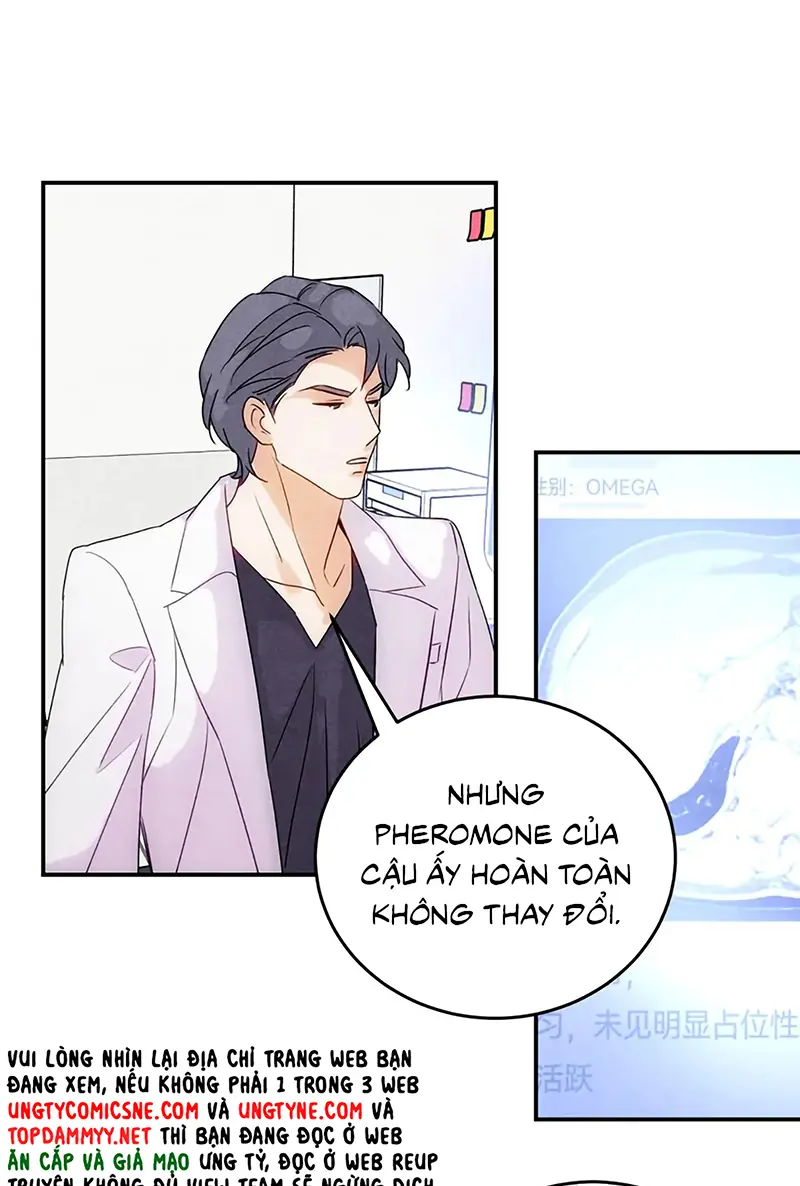 Xuyên Thành Con Ngỗng Vàng Của Đại Lão Alpha Chapter 42 - Trang 38