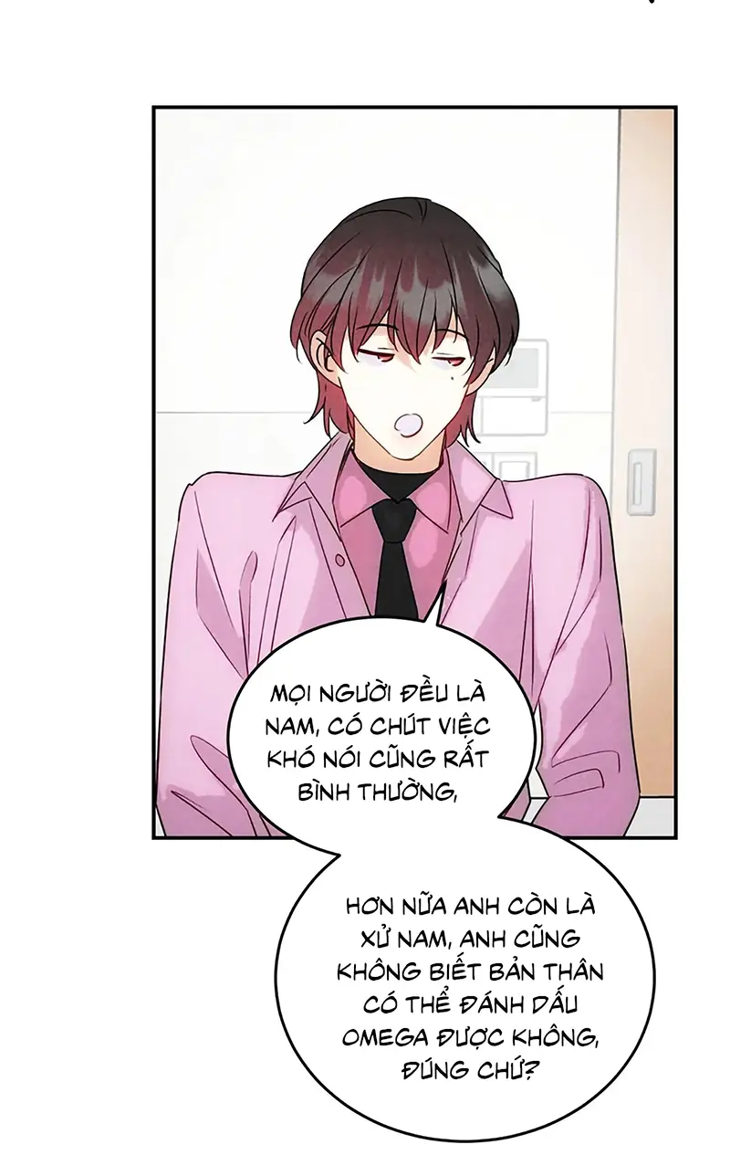 Xuyên Thành Con Ngỗng Vàng Của Đại Lão Alpha Chapter 42 - Trang 40