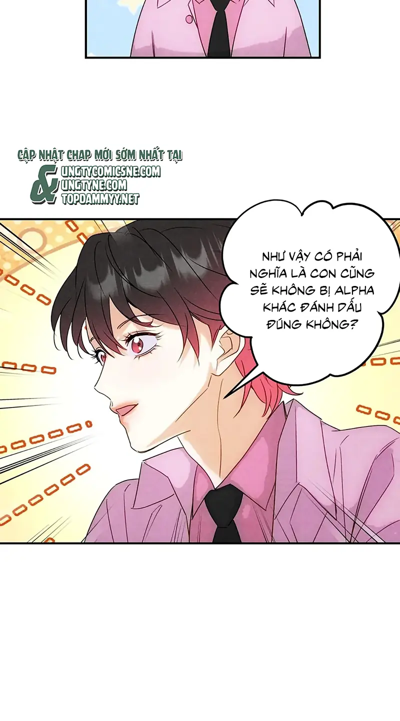 Xuyên Thành Con Ngỗng Vàng Của Đại Lão Alpha Chapter 42 - Trang 44
