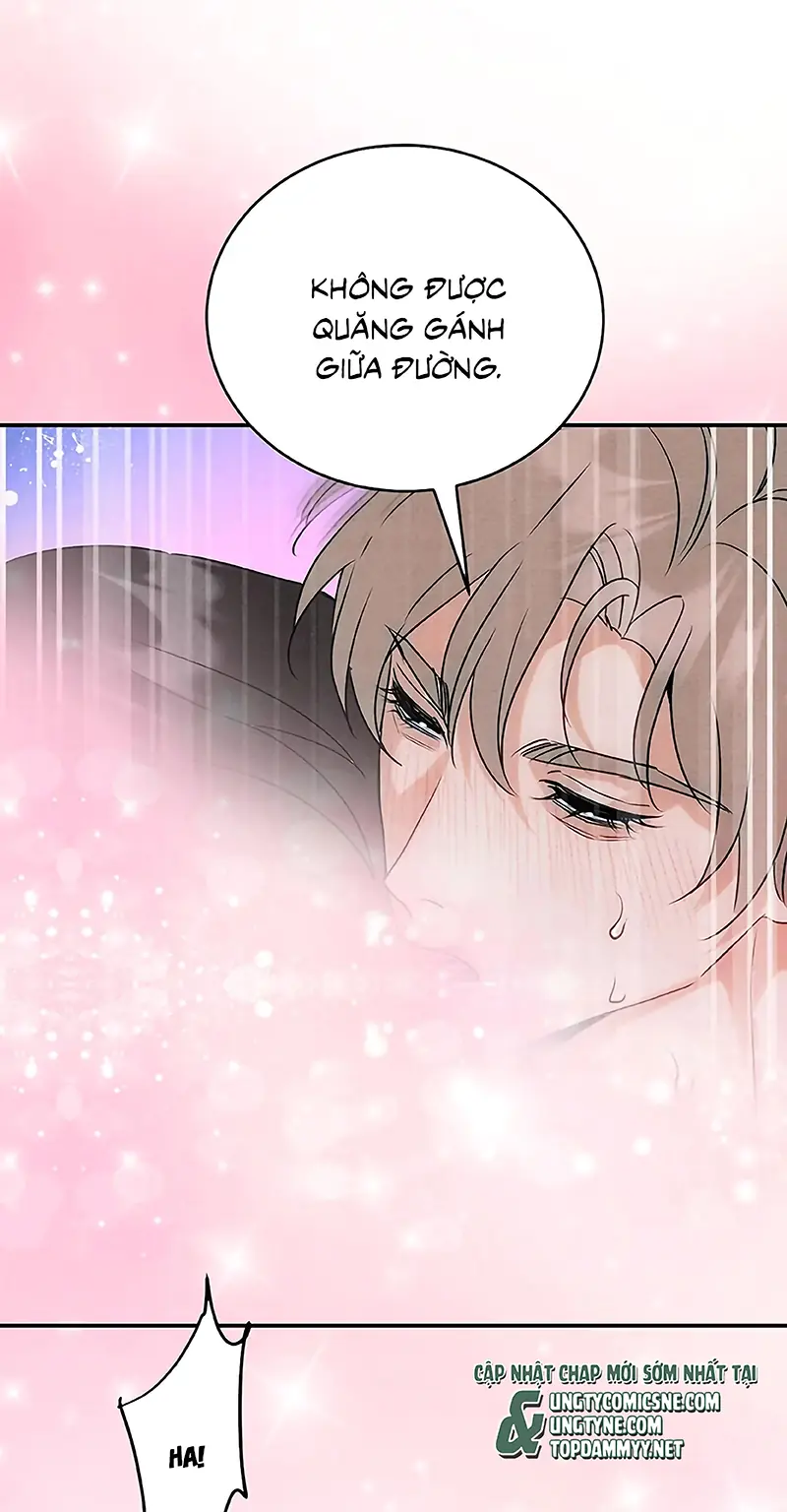 Xuyên Thành Con Ngỗng Vàng Của Đại Lão Alpha Chapter 42 - Trang 9