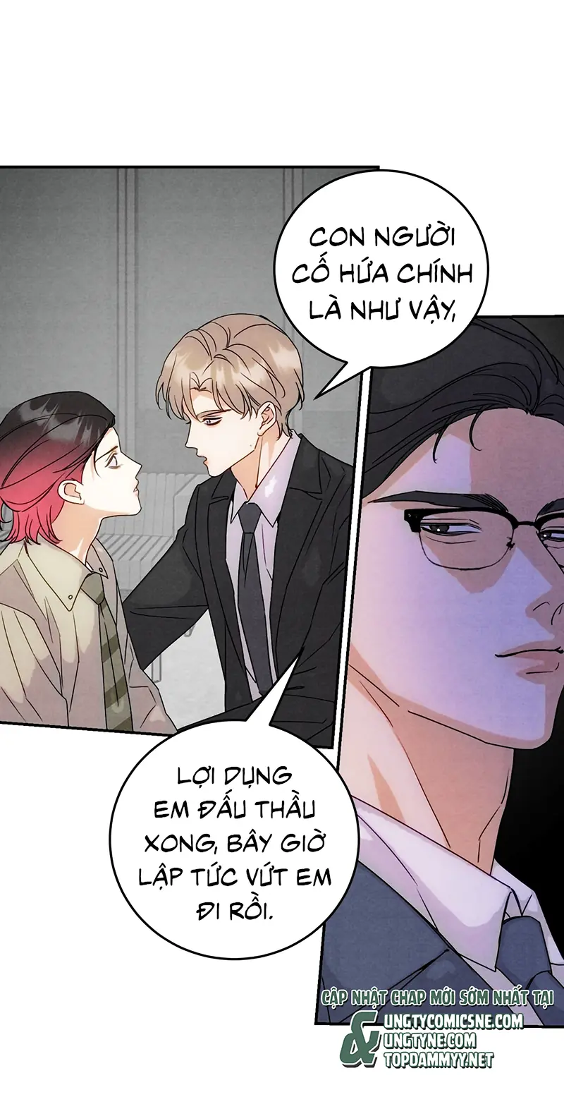 Xuyên Thành Con Ngỗng Vàng Của Đại Lão Alpha Chapter 44 - Trang 12