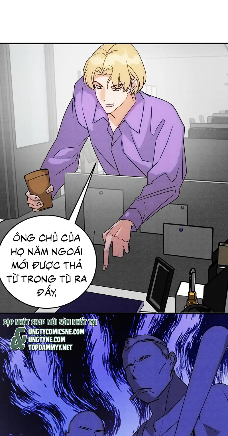Xuyên Thành Con Ngỗng Vàng Của Đại Lão Alpha Chapter 44 - Trang 32