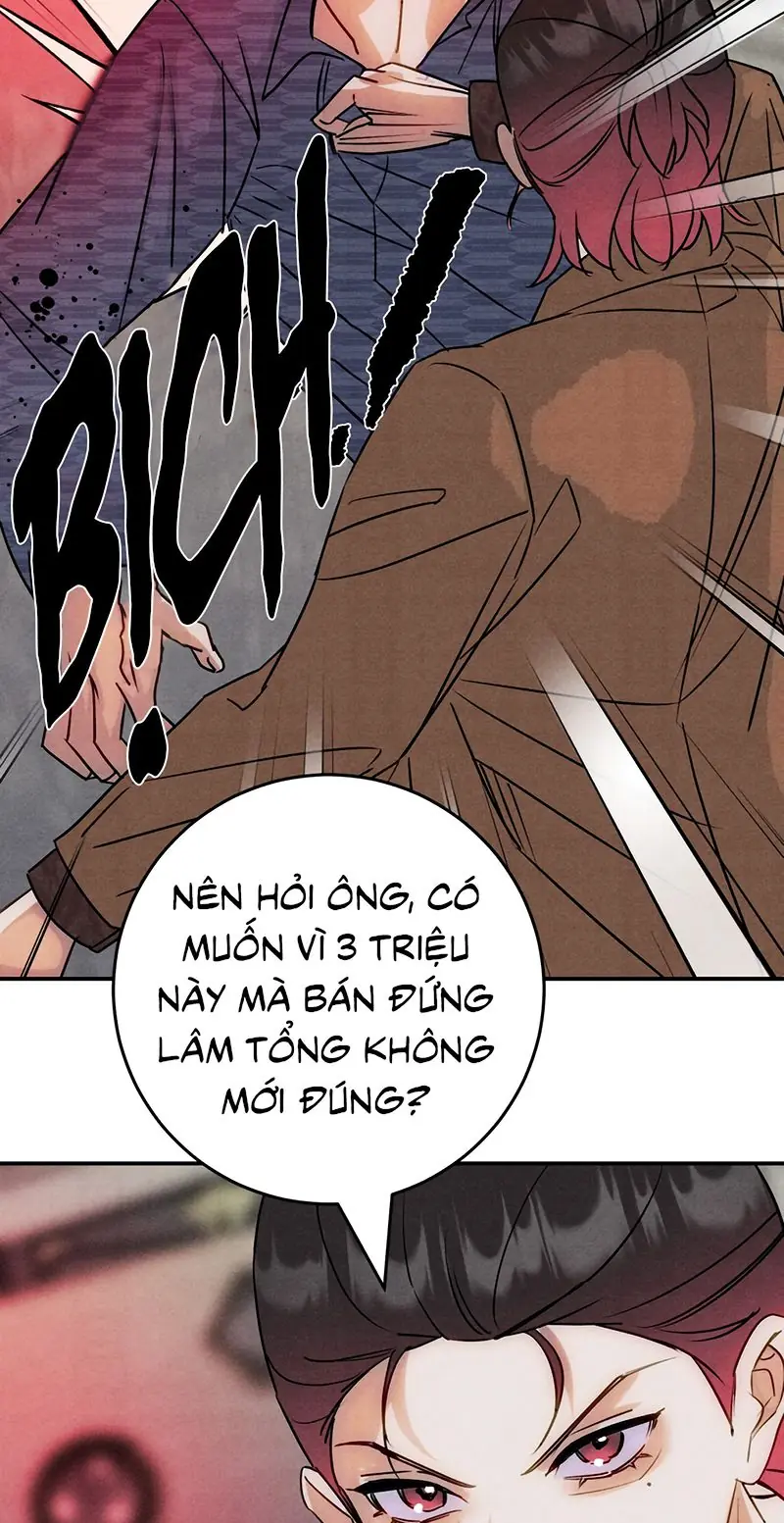 Xuyên Thành Con Ngỗng Vàng Của Đại Lão Alpha Chapter 45 - Trang 42