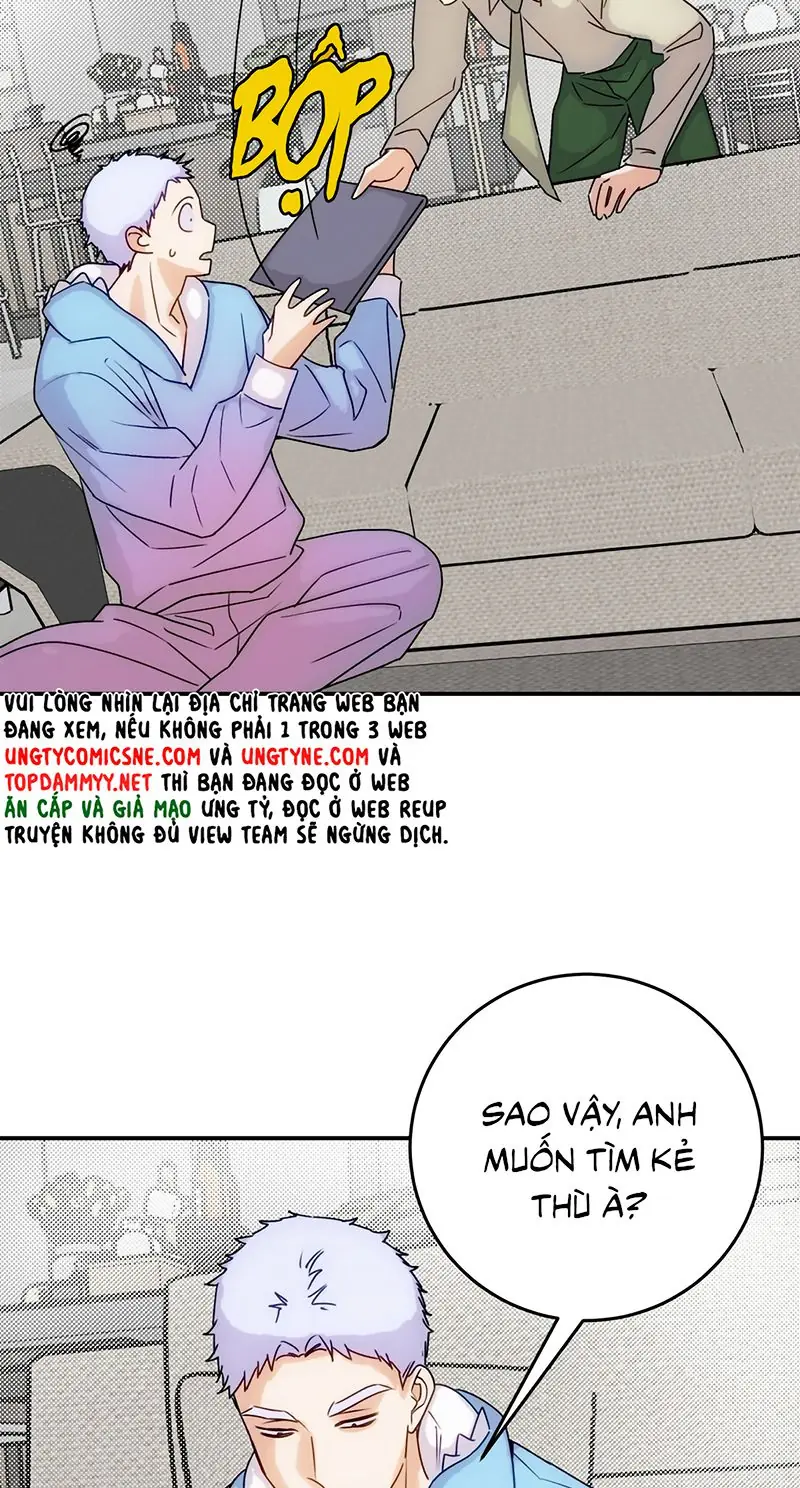 Xuyên Thành Con Ngỗng Vàng Của Đại Lão Alpha Chapter 45 - Trang 6