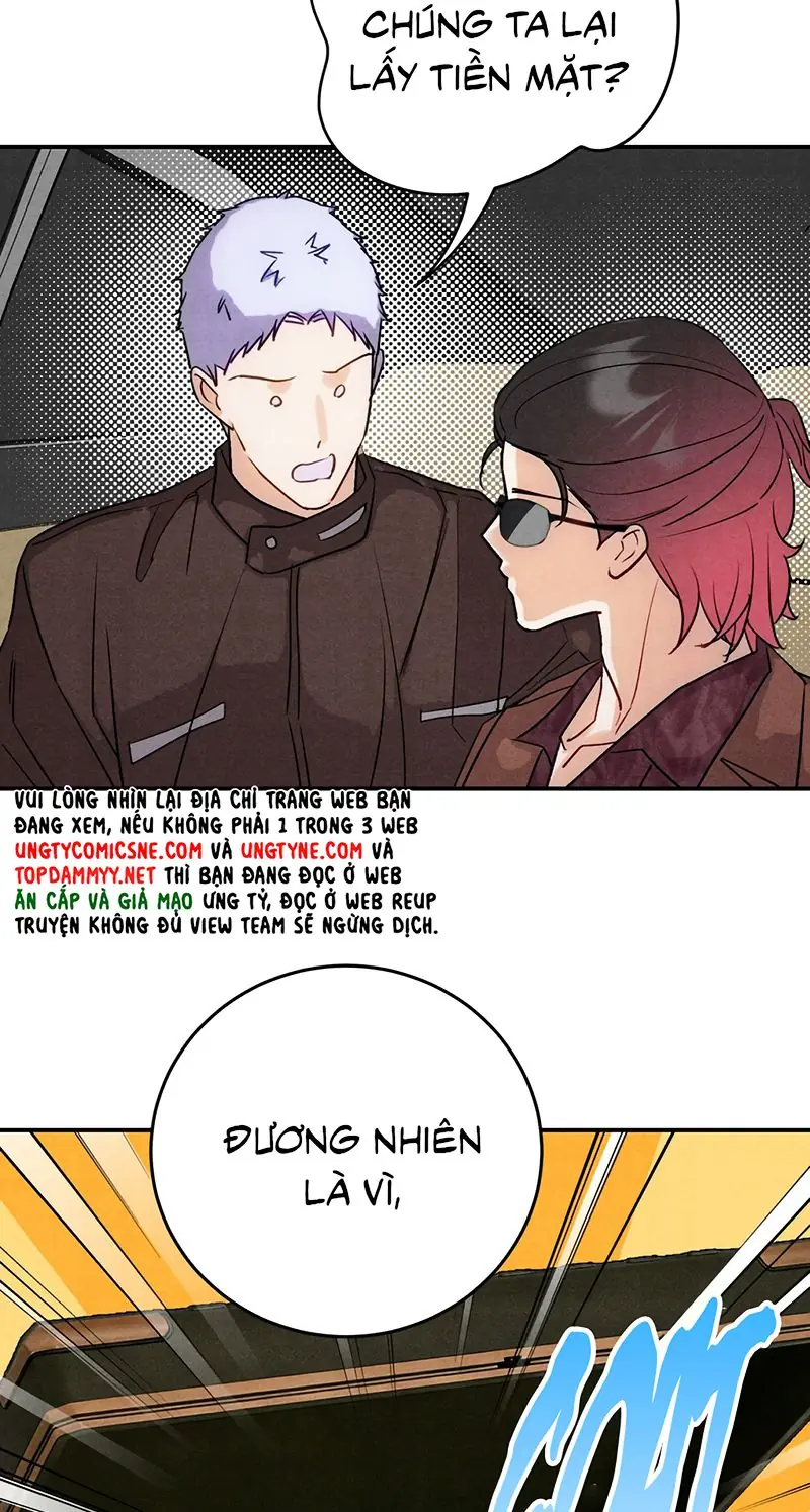 Xuyên Thành Con Ngỗng Vàng Của Đại Lão Alpha Chapter 46 - Trang 11