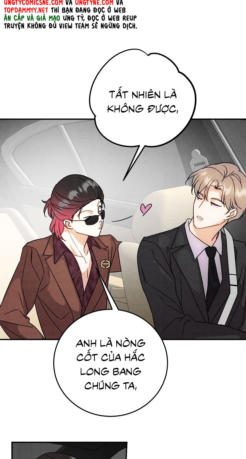 Xuyên Thành Con Ngỗng Vàng Của Đại Lão Alpha Chapter 46 - Trang 20
