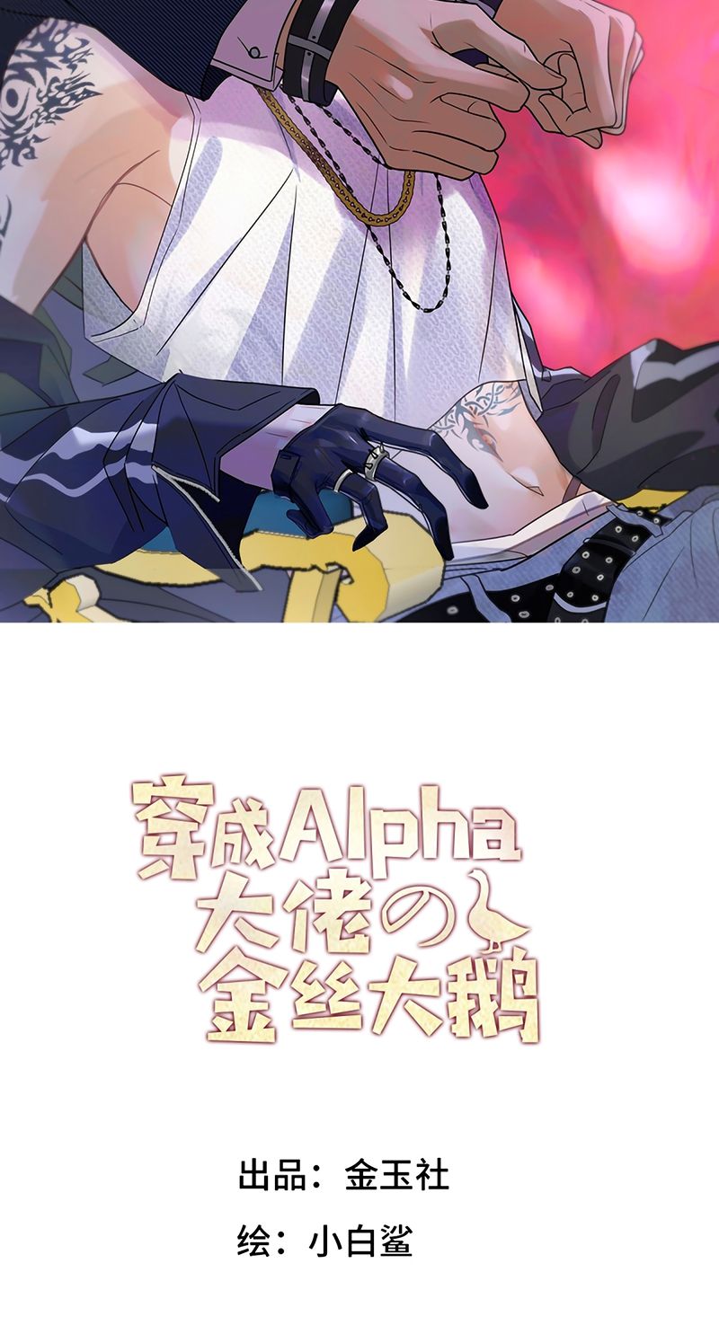 Xuyên Thành Con Ngỗng Vàng Của Đại Lão Alpha Chapter 46 - Trang 3