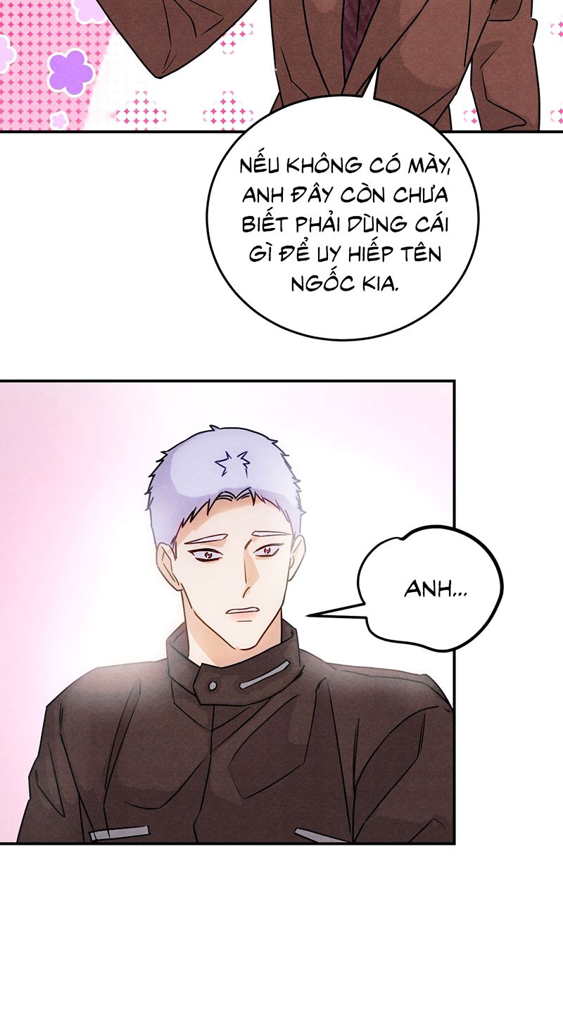 Xuyên Thành Con Ngỗng Vàng Của Đại Lão Alpha Chapter 46 - Trang 31