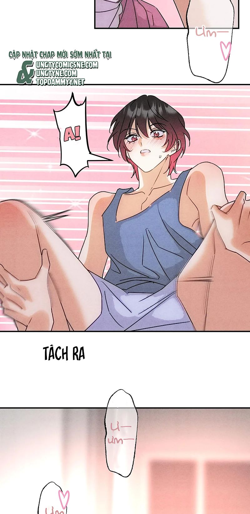 Xuyên Thành Con Ngỗng Vàng Của Đại Lão Alpha Chapter 47 - Trang 14