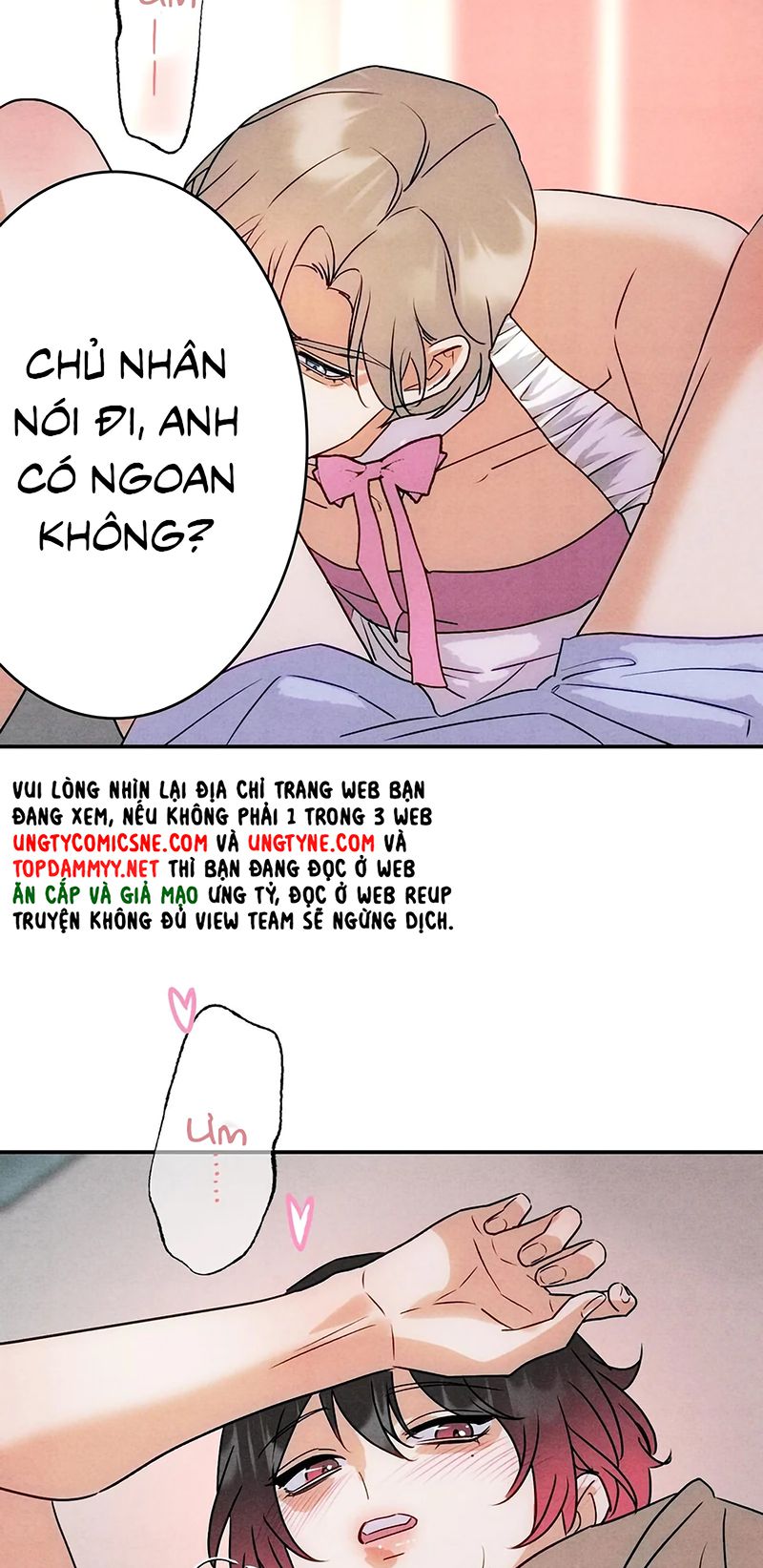 Xuyên Thành Con Ngỗng Vàng Của Đại Lão Alpha Chapter 47 - Trang 15
