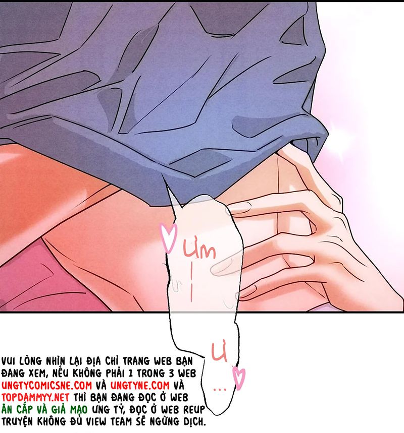 Xuyên Thành Con Ngỗng Vàng Của Đại Lão Alpha Chapter 47 - Trang 35