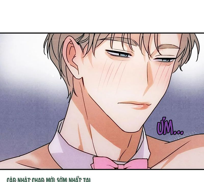 Xuyên Thành Con Ngỗng Vàng Của Đại Lão Alpha Chapter 47 - Trang 6