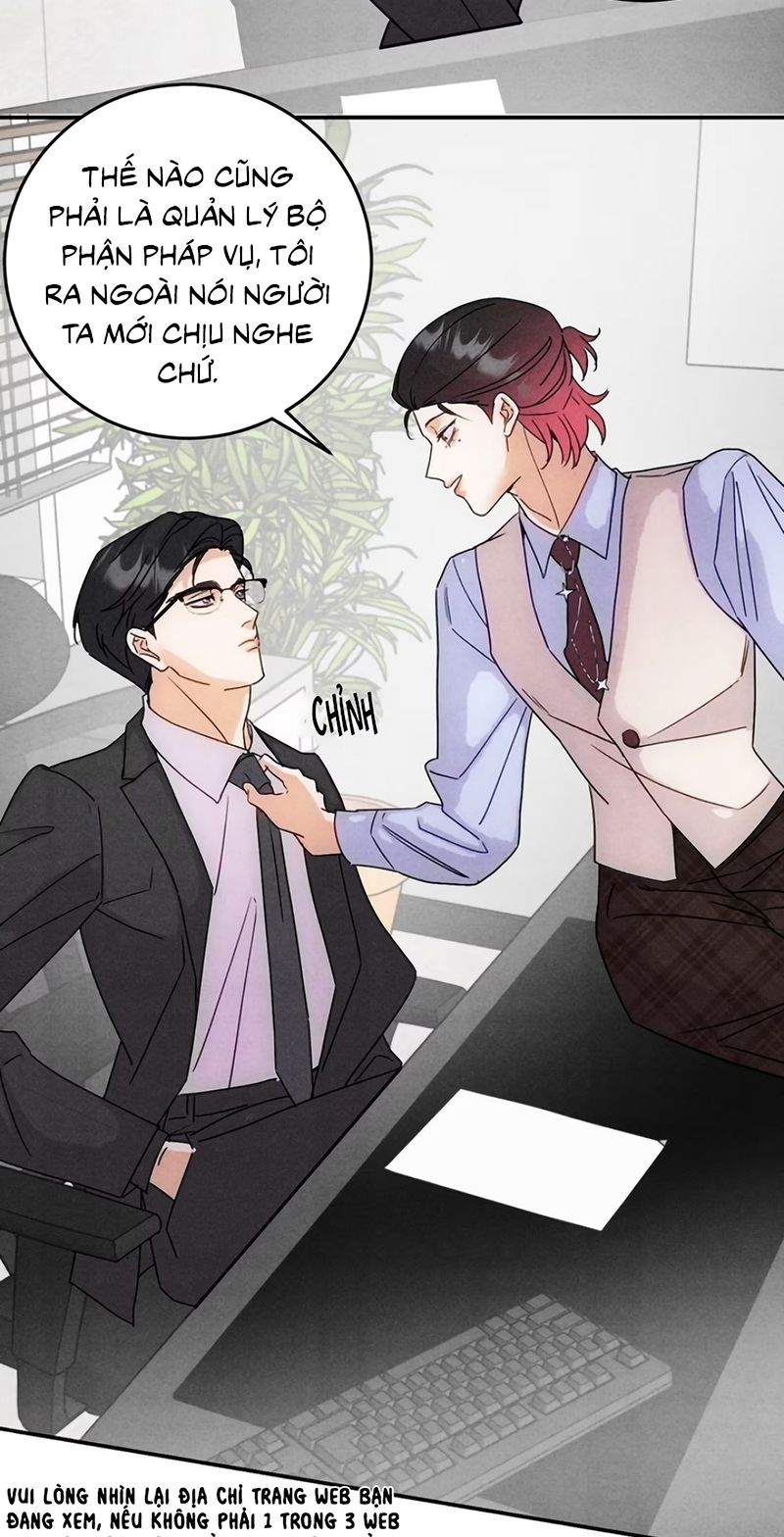 Xuyên Thành Con Ngỗng Vàng Của Đại Lão Alpha Chapter 48 - Trang 12