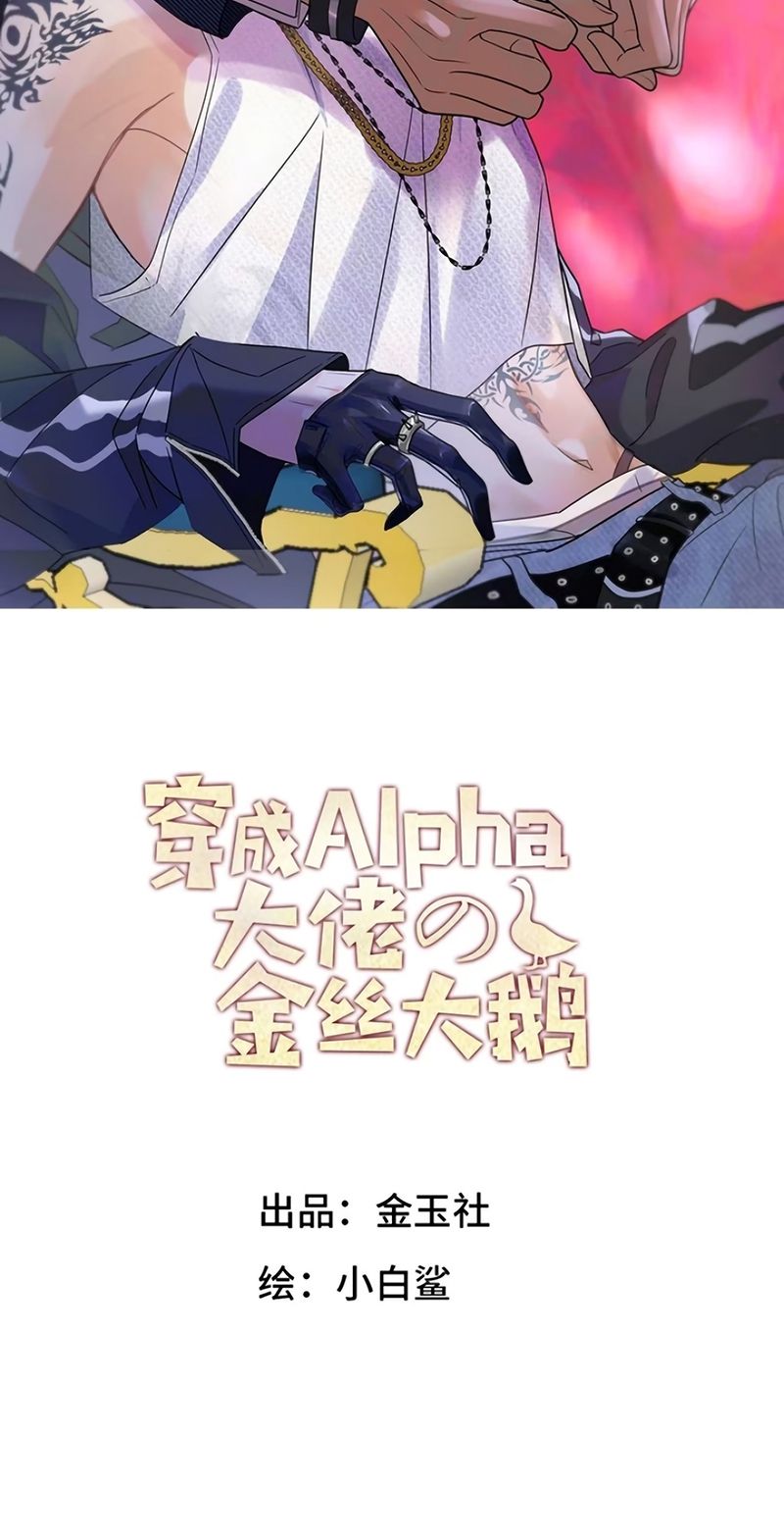 Xuyên Thành Con Ngỗng Vàng Của Đại Lão Alpha Chapter 48 - Trang 3