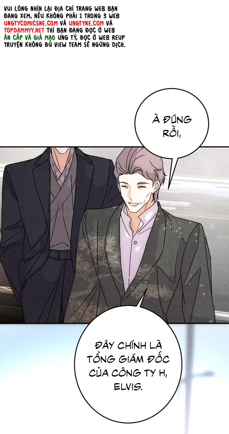 Xuyên Thành Con Ngỗng Vàng Của Đại Lão Alpha Chapter 48 - Trang 34