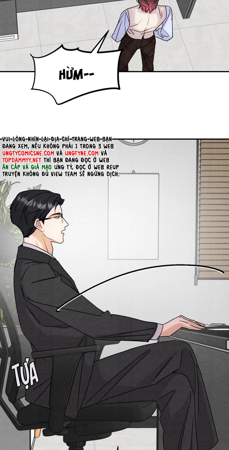 Xuyên Thành Con Ngỗng Vàng Của Đại Lão Alpha Chapter 48 - Trang 8