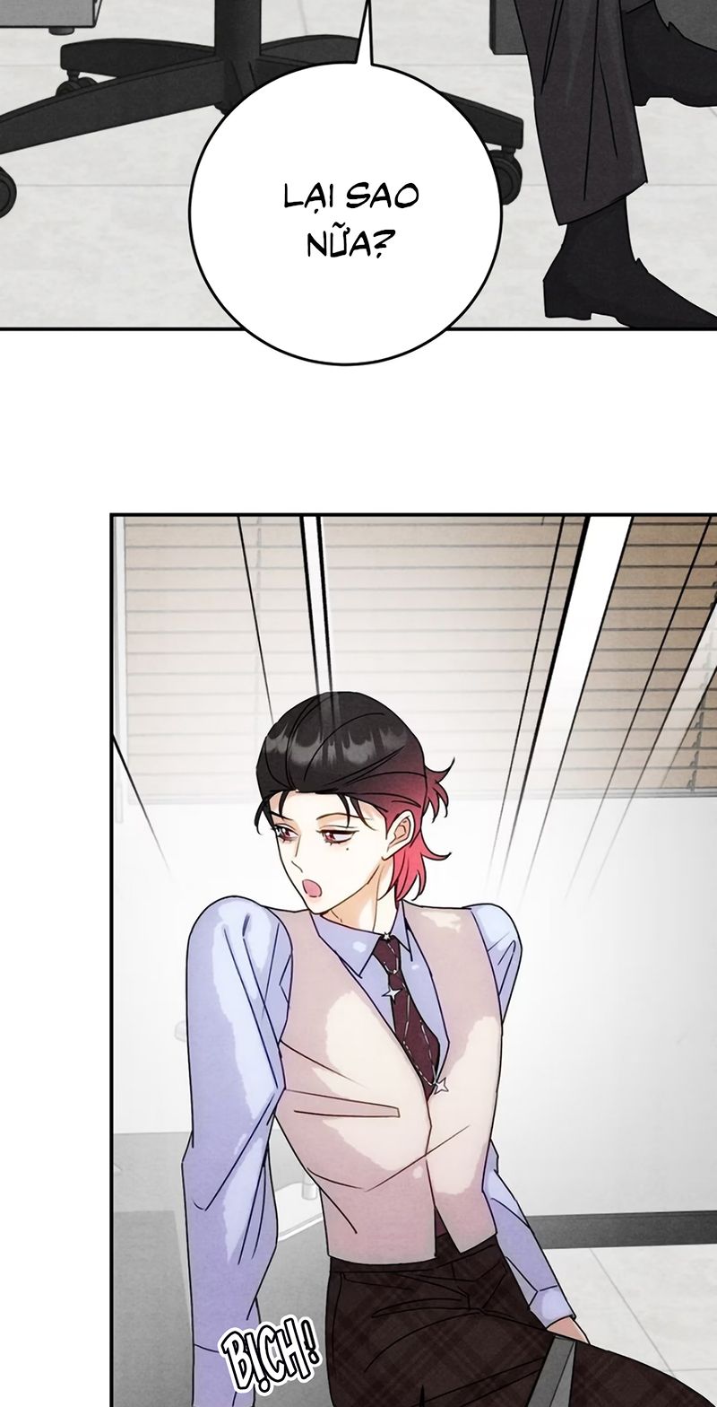 Xuyên Thành Con Ngỗng Vàng Của Đại Lão Alpha Chapter 48 - Trang 9