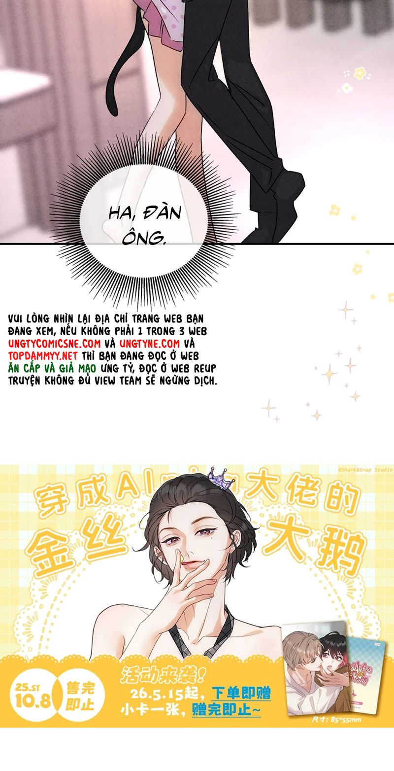 Xuyên Thành Con Ngỗng Vàng Của Đại Lão Alpha Chapter 49 - Trang 41