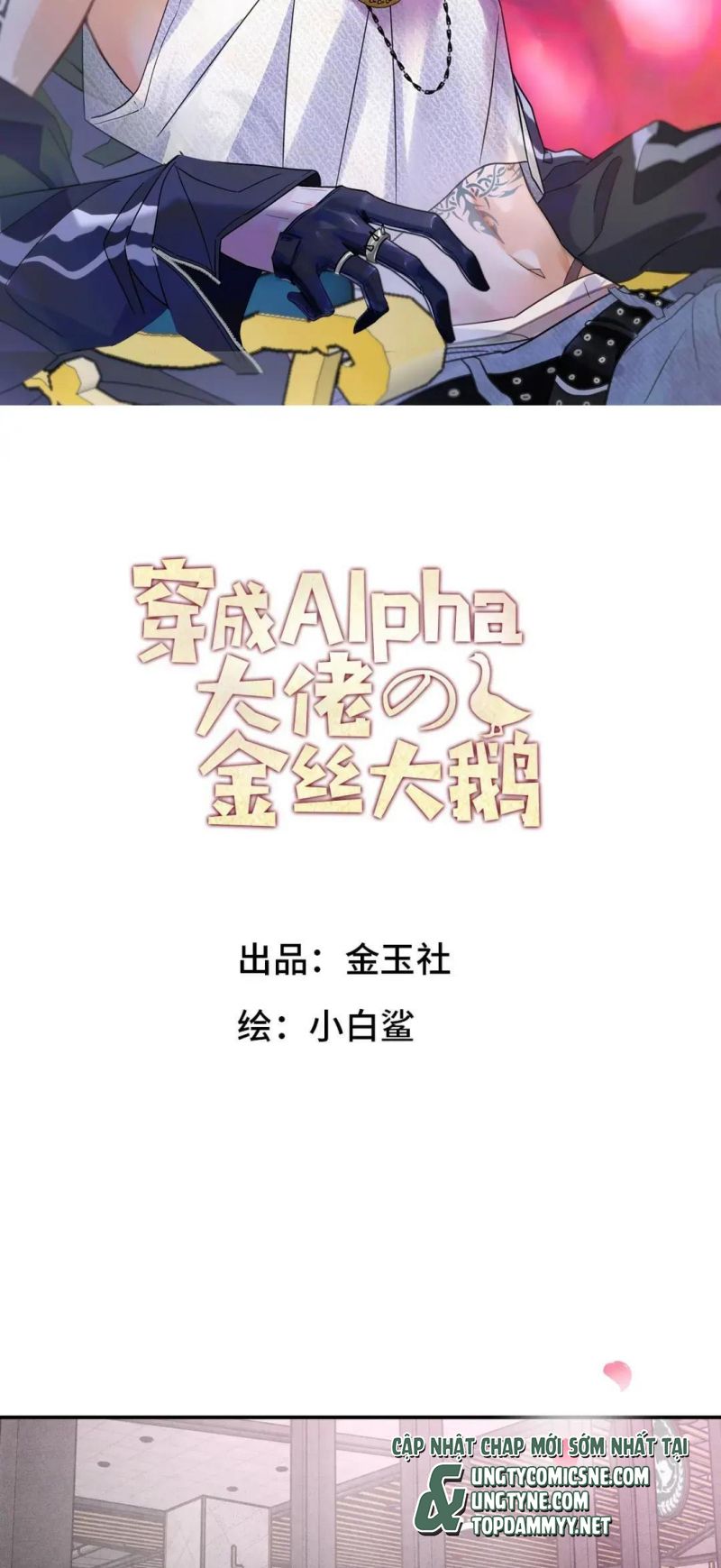 Xuyên Thành Con Ngỗng Vàng Của Đại Lão Alpha Chapter 50 - Trang 3
